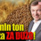 Polskie Stronnictwo Ludowe: Coraz gorsza sytuacja polskiego rolnictwa! Ukraińskie zboże zalało rynek